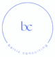 baltic consulting